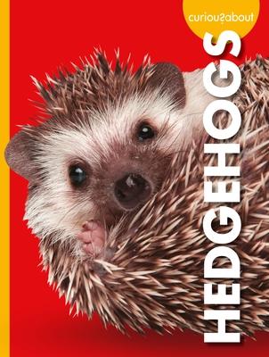 Cover Art for Curious about Hedgehogs