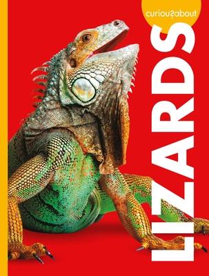 Cover Art for Curious about Lizards