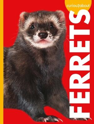 Cover Art for Curious about Ferrets