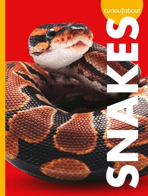 Cover Art for Curious about Snakes