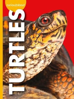 Cover Art for Curious about Turtles