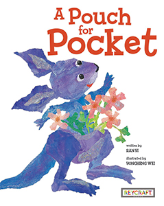 Cover Art for A Pouch for Pocket