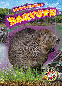Cover Art for Beavers