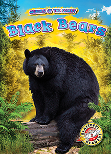 Cover Art for Black Bears