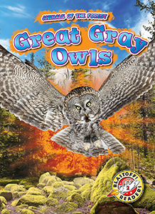 Cover Art for Great Gray Owls