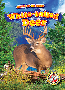 Cover Art for White-tailed Deer