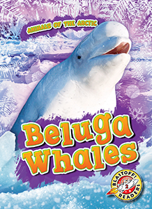 Cover Art for Beluga Whales