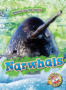 Cover Art for Narwhals