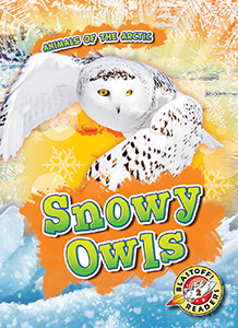Cover Art for Snowy Owls