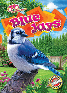 Cover Art for Blue Jays
