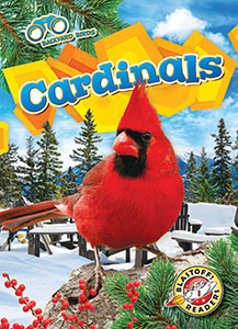 Cover Art for Cardinals