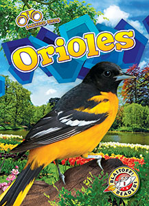 Cover Art for Orioles