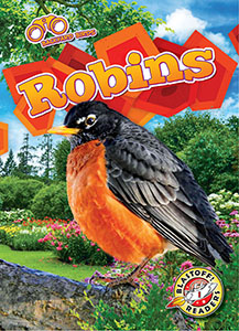 Cover Art for Robins