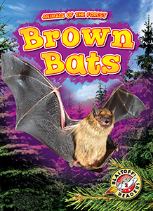 Cover Art for Brown Bats