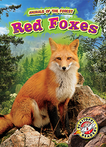 Cover Art for Red Foxes