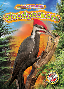 Cover Art for Woodpeckers