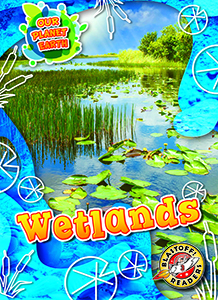 Cover Art for Wetlands