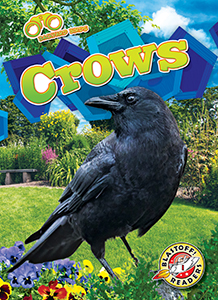 Cover Art for Crows
