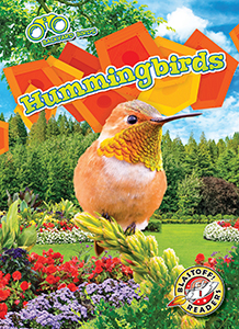 Cover Art for Hummingbirds