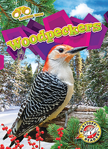 Cover Art for Woodpeckers