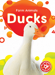 Cover Art for Ducks