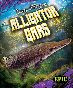 Cover Art for Alligator Gars