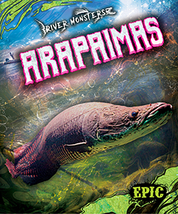 Cover Art for Arapaimas