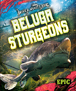 Cover Art for Beluga Sturgeons