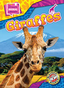 Cover Art for Giraffes