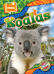 Cover Art for Koalas