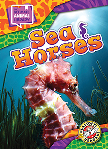 Cover Art for Sea Horses