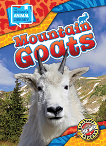 Cover Art for Mountain Goats