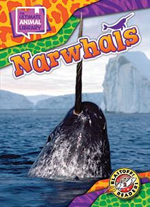 Cover Art for Narwhals
