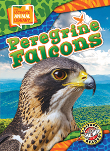 Cover Art for Peregrine Falcons