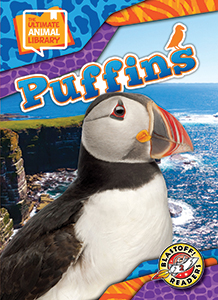 Cover Art for Puffins
