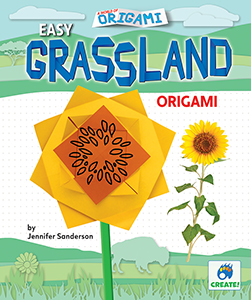 Cover Art for Easy Grassland Origami