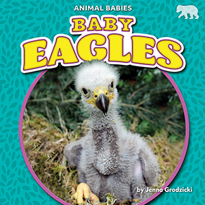 Cover Art for Baby Eagles