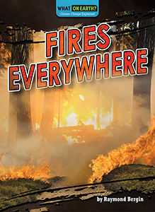 Cover Art for Fires Everywhere
