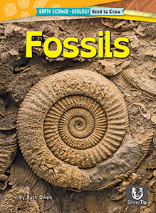 Cover Art for Fossils