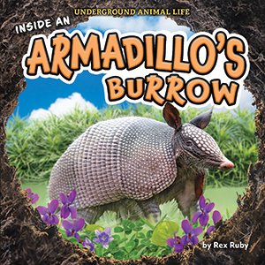 Cover Art for Inside an Armadillo's Burrow