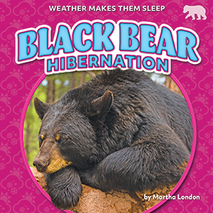 Cover Art for Black Bear Hibernation