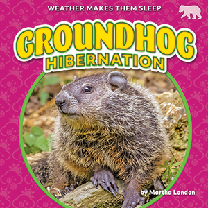 Cover Art for Groundhog Hibernation