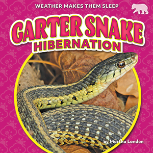 Cover Art for Garter Snake Hibernation