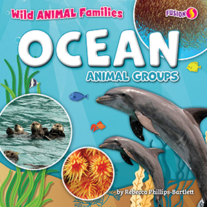Cover Art for Ocean Animal Groups