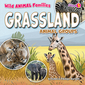 Cover Art for Grassland Animal Groups