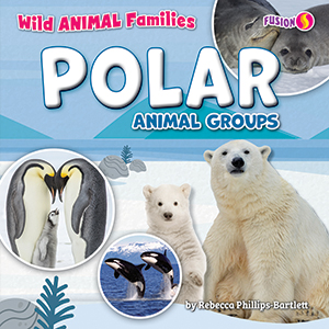 Cover Art for Polar Animal Groups