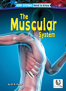 Cover Art for The Muscular System