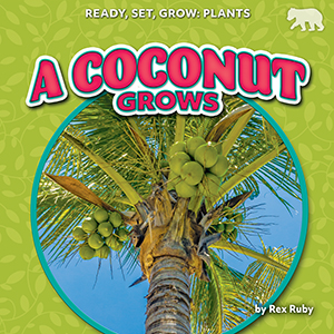 Cover Art for A Coconut Grows