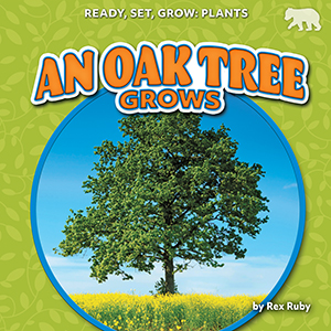 Cover Art for An Oak Tree Grows