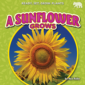Cover Art for A Sunflower Grows
